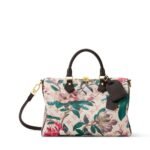Louis Vuitton M29066 Speedy Soft 30