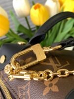 Louis Vuitton M45571 Petite Malle Souple - Image 7