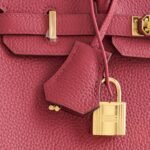 Hermès Birkin 25 Togo Rubis Gold Hardware - Image 6