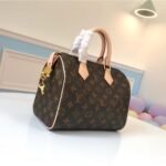 LOUIS VUITTON SPEEDY 25 M41109 - Image 8