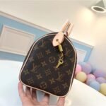LOUIS VUITTON SPEEDY 25 M41109 - Image 7