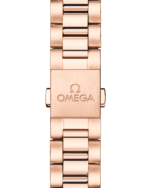 OMEGA Seamaster Aqua Terra 150M - Image 3