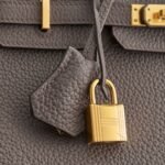 Hermès Birkin 25 Togo Gris Etain Gold Hardware - Image 8