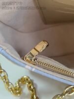 Louis Vuitton M12778 Wallet on Chain Ivy - Image 8