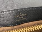 Louis Vuitton M25209 Dauphine Soft MM - Image 9