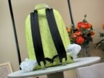 Louis Vuitton M14076 Discovery Slim Backpack - Image 4