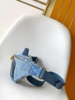 Louis Vuitton N00205 Rush Bumbag - Image 10