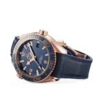 OMEGA Seamaster Planet Ocean 600M - Image 2