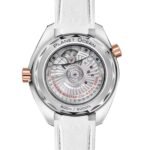 OMEGA Seamaster Planet Ocean 600M - Image 2
