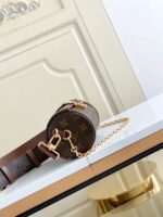 Louis Vuitton M57835 Papillon Trunk - Image 6
