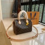 LOUIS VUITTON SPEEDY 25 M41109 - Image 2