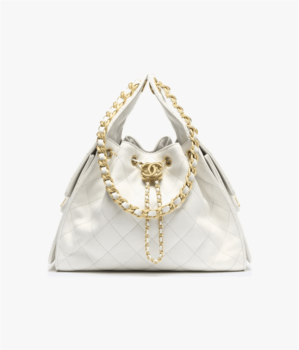 a79c49c9aa938cee7cb7b3b6c69b8c11 CHANEL 25 Small Handbag - Image 1
