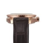 OMEGA Seamaster Planet Ocean 600M - Image 5