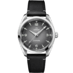 OMEGA Seamaster Railmaster