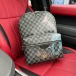 Louis Vuitton Backpack