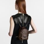 Louis Vuitton Palm Springs Mini M44873 - Image 10